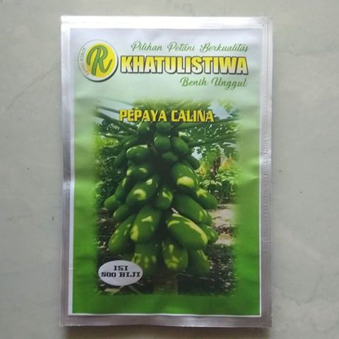 BENIH PEPAYA CALINA ISI 500 BIJI BIBIT PEPAYA CALIFORNIA INDONESIA BY RUMAH BIBIT KEBUMEN
