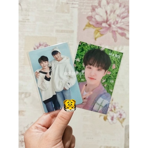 [BOOKED] SET TC Caratland/Carland 2018 SoonHoon & TC Haru Hoshi