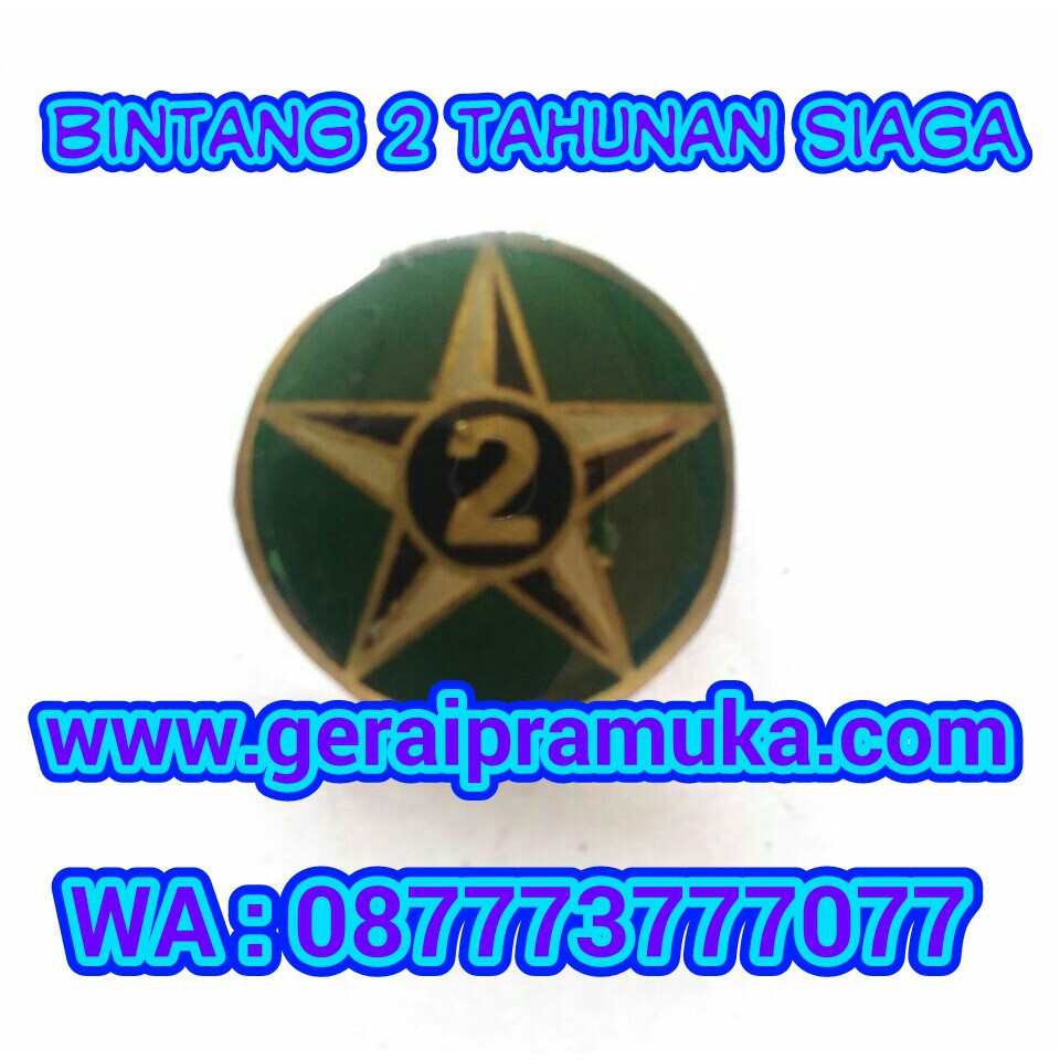 Pin Bintang 2 Tahunan Siaga