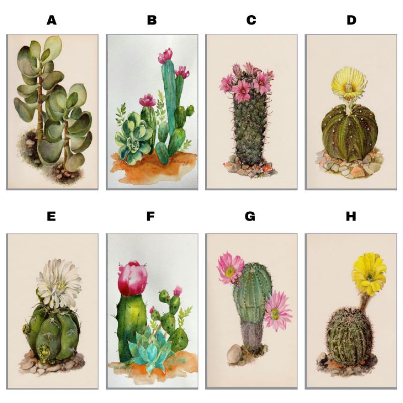 Hiasan Kaktus wall decor pajangan dinding