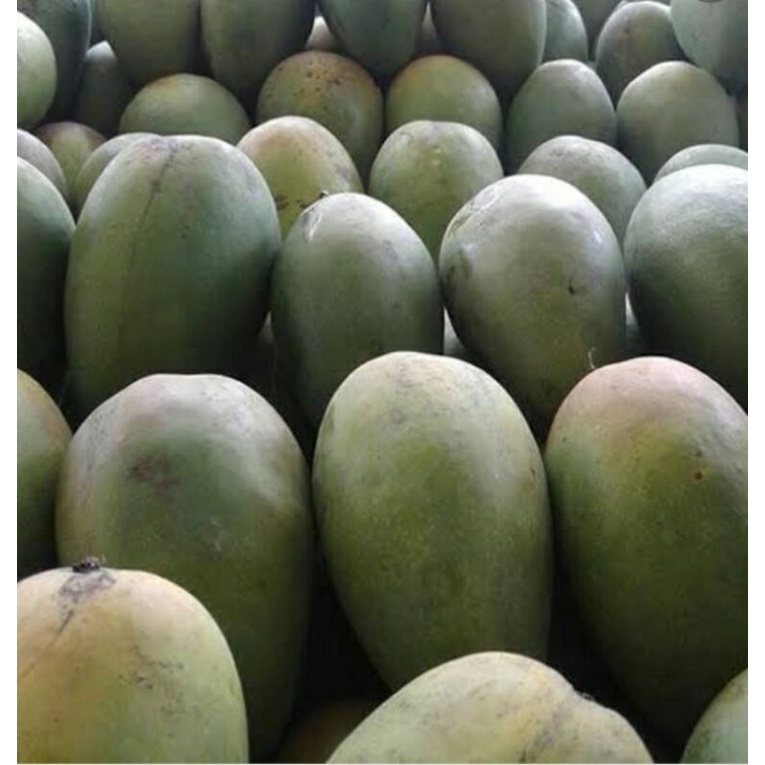 

mangga arumanis 1kg