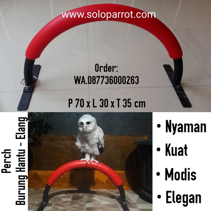 Tangkringan Burung Hantu Elang