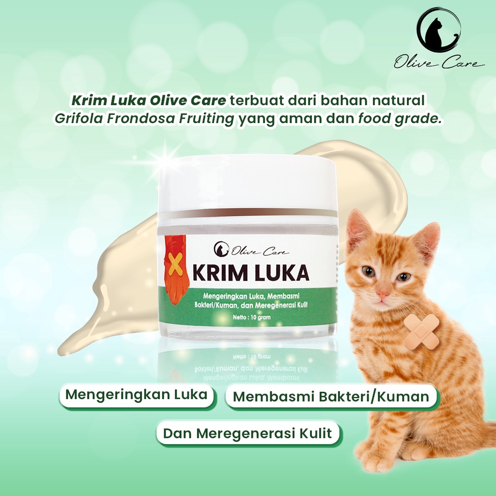 Olive Care Salep Krim Kucing KRIM LUKA untuk Kulit Luka Basah &amp; Kering, Luka Berdarah, Koreng, Cegah Infeksi dan Regenerasi Kulit Sweety Petshop