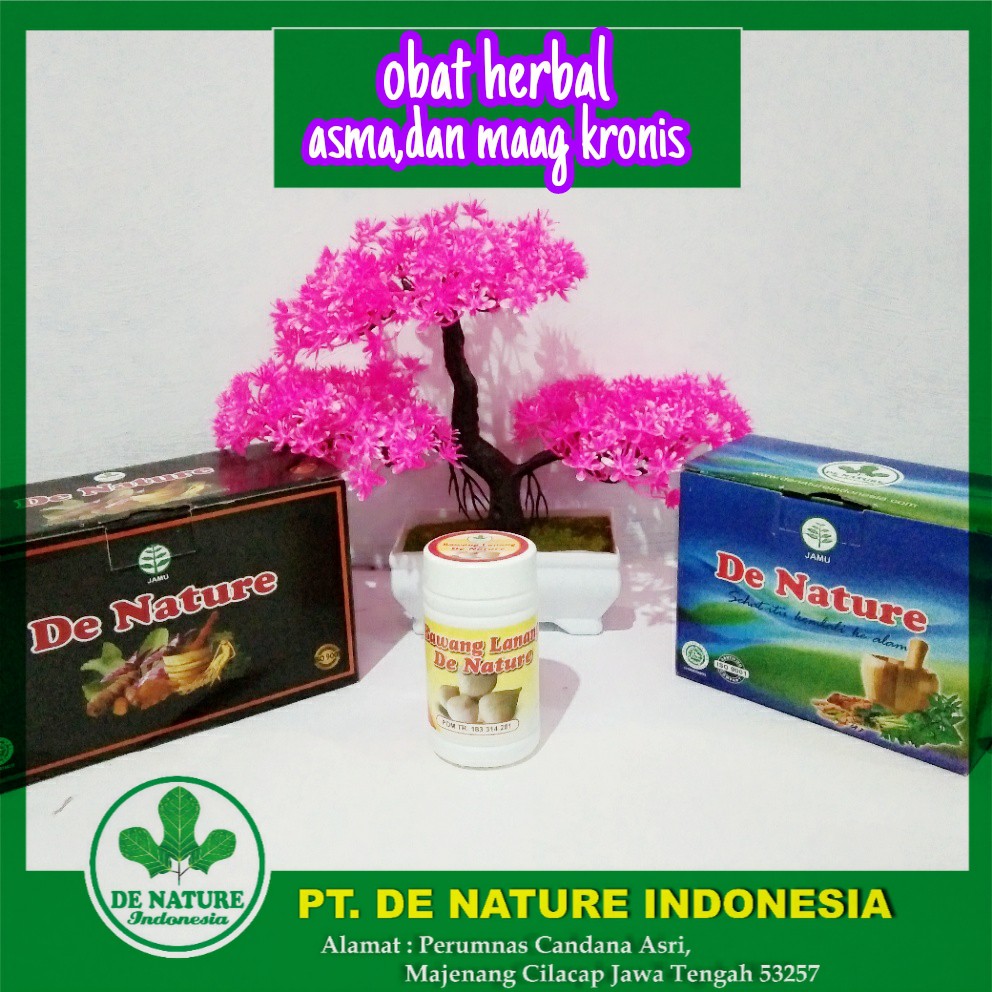 

ASLI MANJUR!! Obat Asma / Sesak Nafas Herbal Kapsul Bawang Lanang DE NATURE