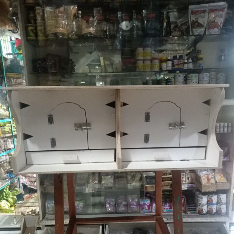 kandang burung dara gupon dara original