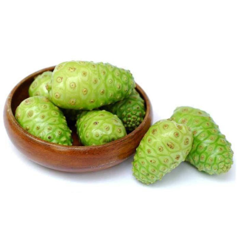 

MENGKUDU/PACE SEGAR