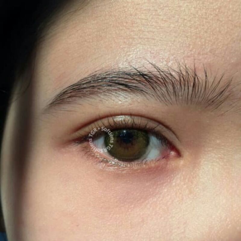 SOFTLENS TGR - CARAMEL BROWN DIA 14.00mm / NORMAL sd -10.00 / SOFTLENS MINUS / SOFTLENS DIAMETER KEC