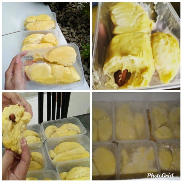 

Durian nias premium