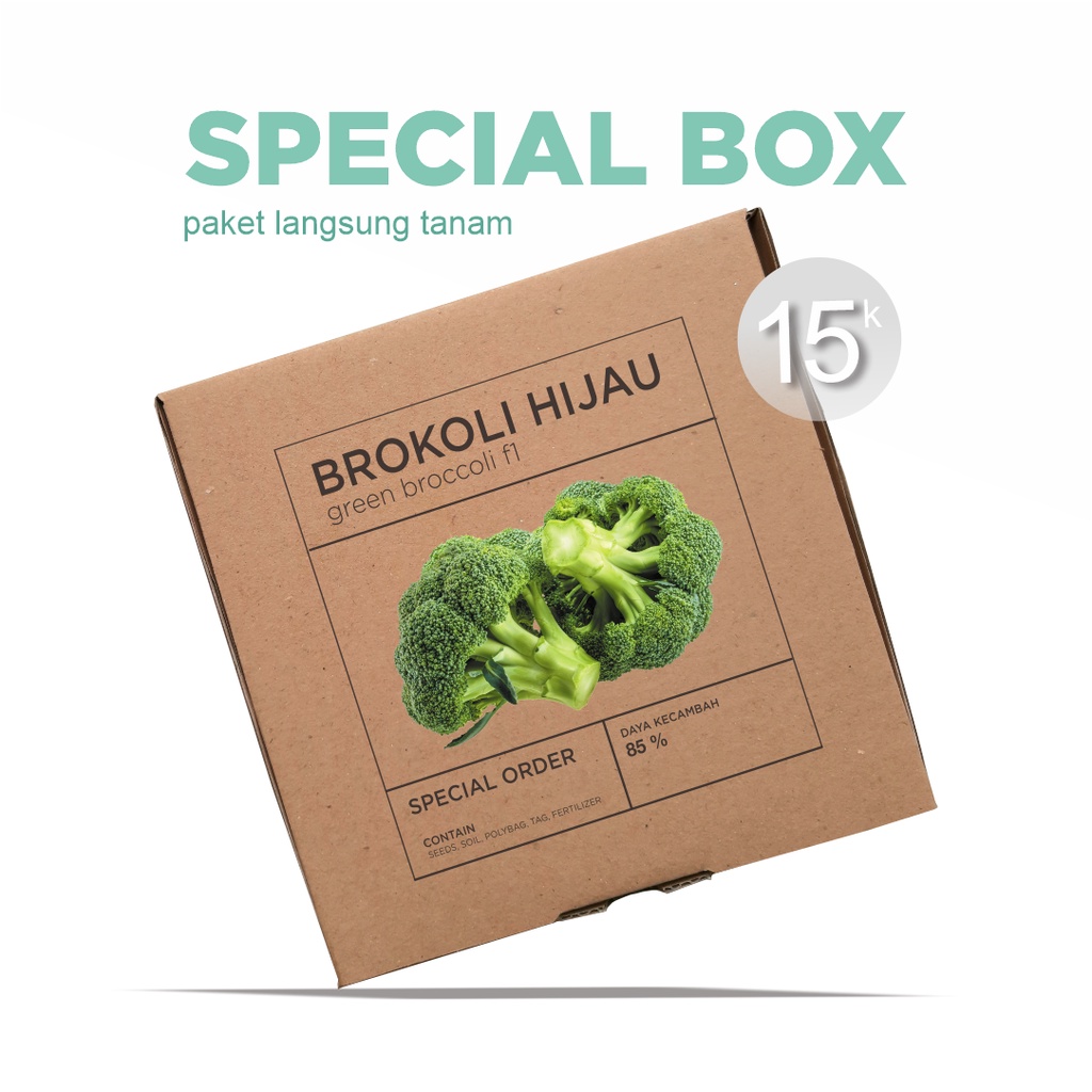 Paket Langsung Tanam - Gardening Kit - SPECIAL BOX - Benih Brokoli Hijau F1 Green Broccoli Seeds