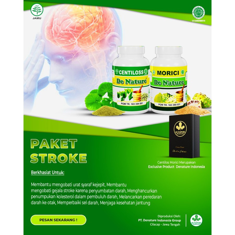 Jual Alternatif Herbal Obat Stroke Penyumbatan Otak Obat Syaraf