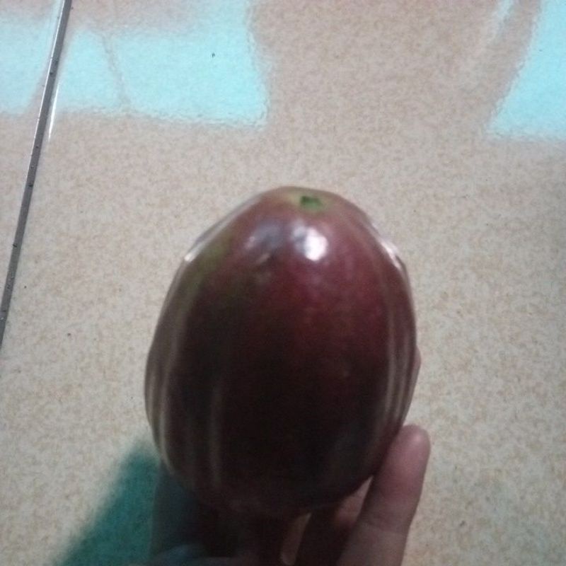 

jambu