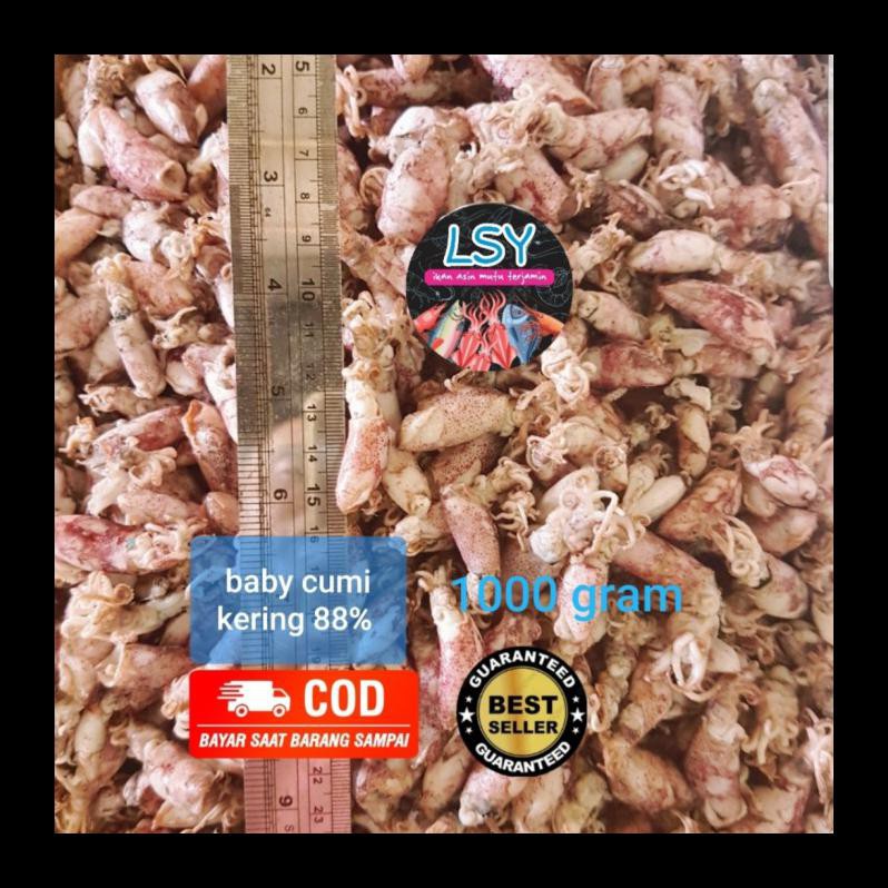 

BEST SELLER! IKAN ASIN BABY CUMI / CUMI REBUS KERING 88% 1KG PALING MURAH