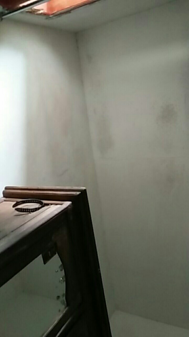 Alat Mata Nanas Stainless Steel / Pengambil Mata Nanas