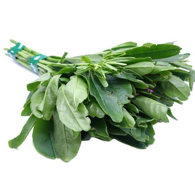 

DAUN GINGSENG PER IKAT