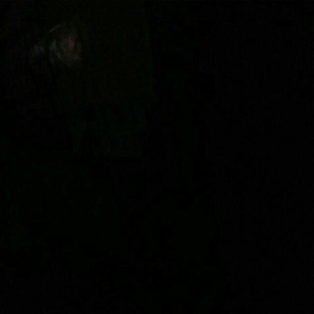 Foodpail / Ricebox / Box Mie Ukuran L Universal Leakproof Isi 50pcs