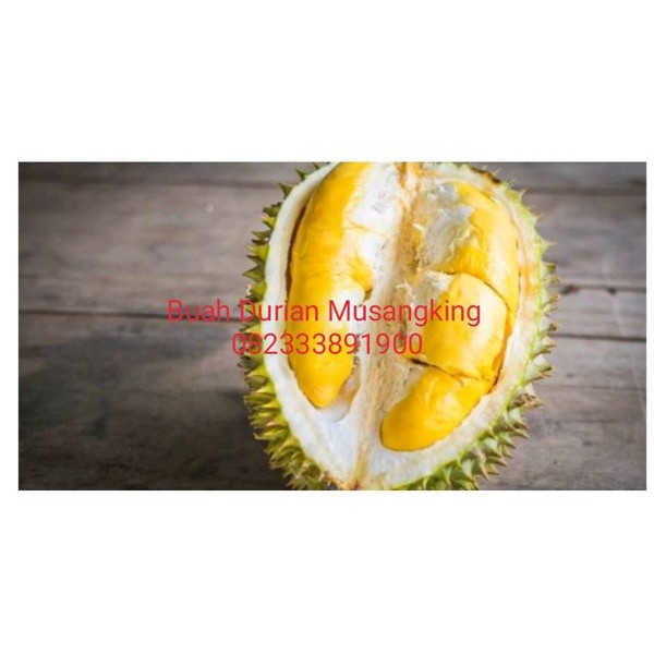 durian musangking kaki 1