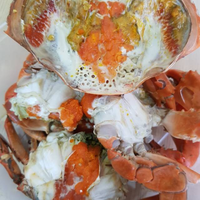 

Kepiting Telur matang fresh