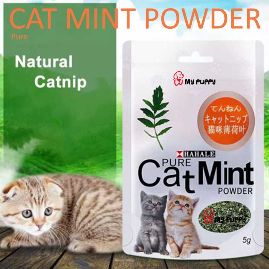 PURE CAT MINT POWDER 5GR - DAUN CATNIP ALAMI