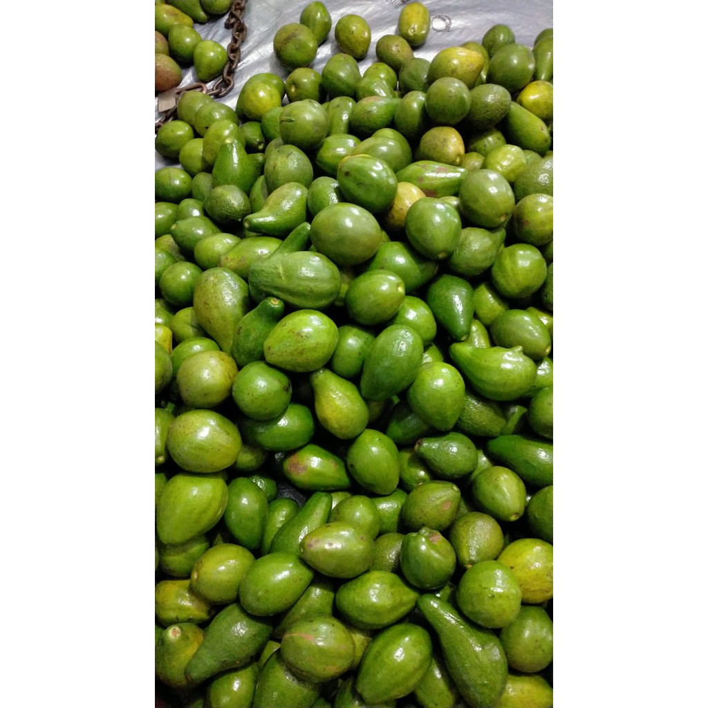 Buah Alpukat Uk. sedang Fresh Pasar Induk Online