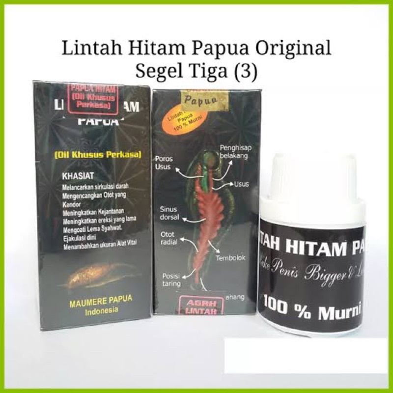 Minyak lintah papua