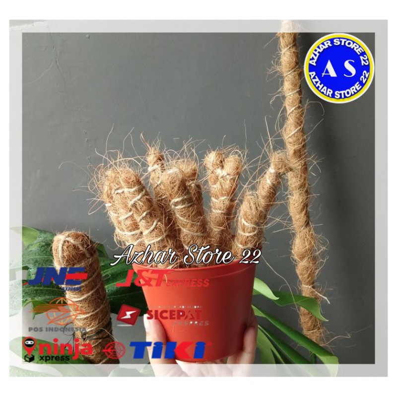 JUAL STIK/AJIR TUTURUS TANAMAN