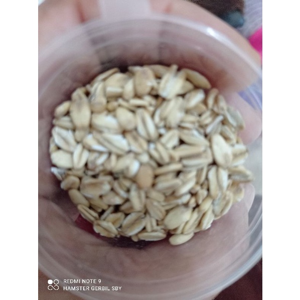 Oats Utuh / Giling | Oat Snack Hamster Impor