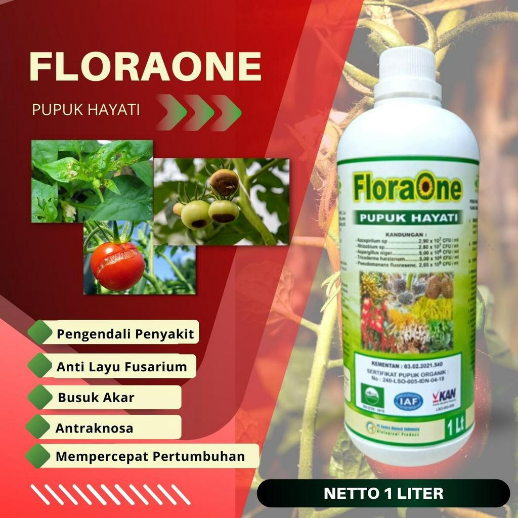 Bakteri Pemacu Pertumbuhan Tanaman / Pgpr, Fungisida Hayati Cair Trichoderma Harzianum Busuk Buah