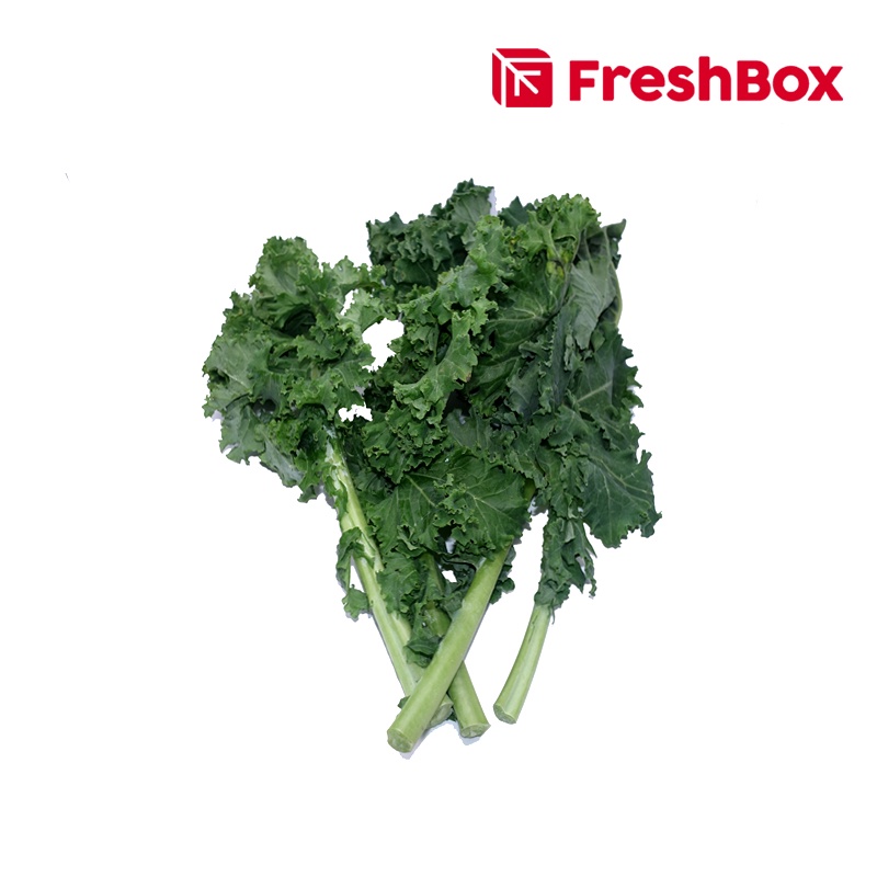 

Kale 500 gr Freshbox