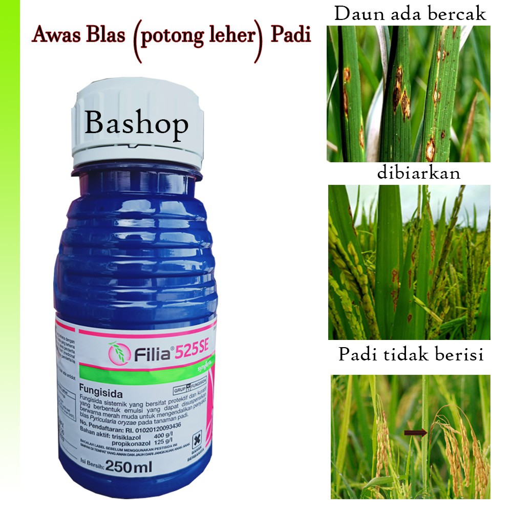 Fungisida FILIA anti blas 250 ml