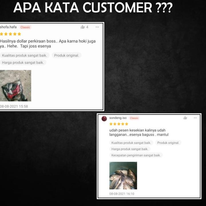 Terlaris.. ESSEN IKAN MAS PATIN ESSEN IKAN MAS PALING BAGUS ESSEN IKAN IMPORT ESEN IKAN MAS LELE MED