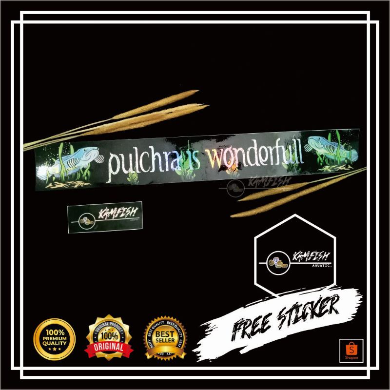 

STICKER AQUARIUM IKAN PREDATOR CHANA AESTHETIC / STICKER AQUARIUM IKAN CHANA BLUE PULCHRA