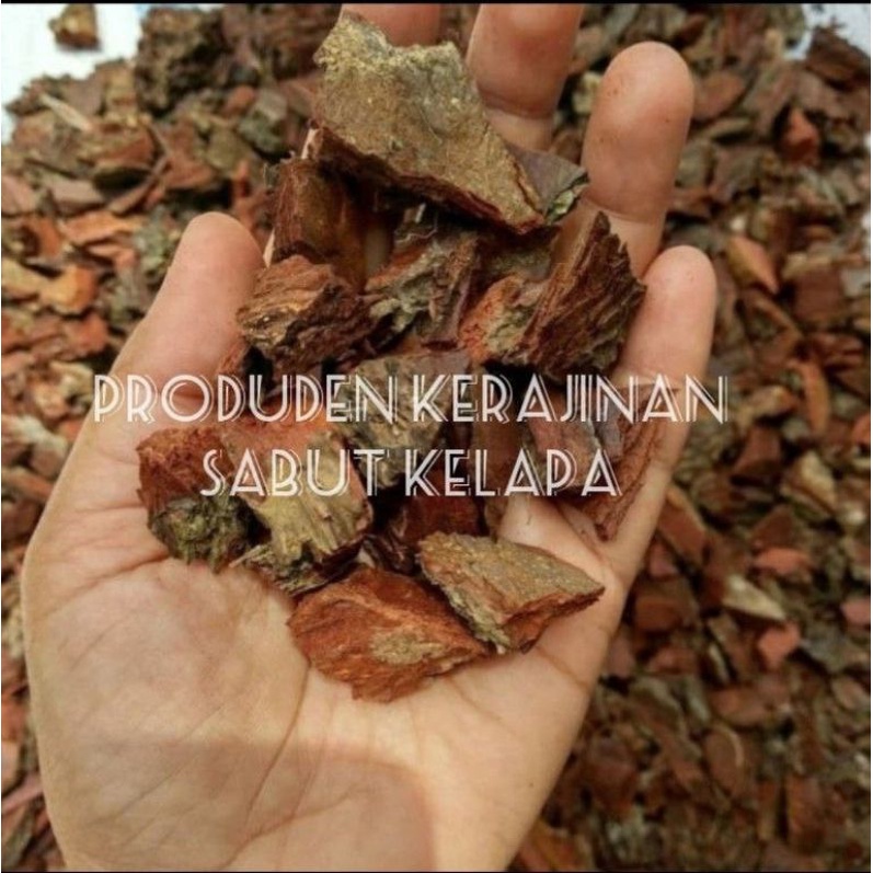 MEDIA TANAM ANGGREK KULIT PINUS CACAH