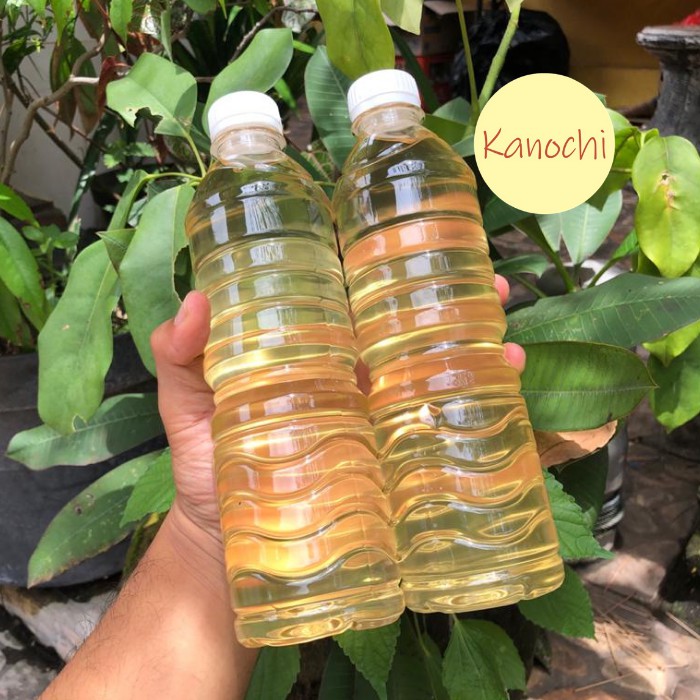 Minyak Kelapa Tandusan Asli Bali Lengis Nyuh Tandusan Asli 600 Ml