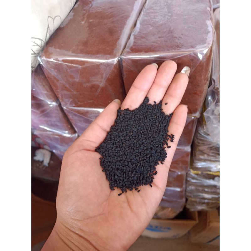 

Jintan Hitam / Habatusauda