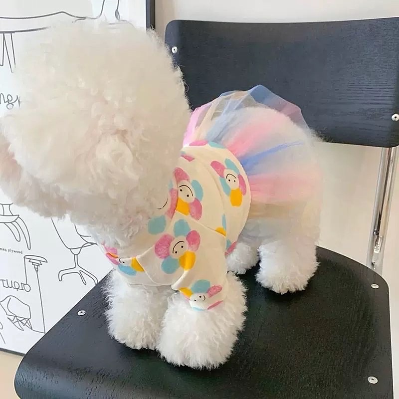 Lola tutu rainbow korea dress