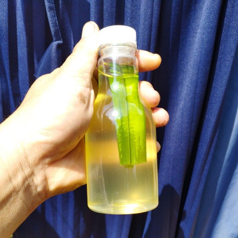 

MINYAK klentik (COCO PANDAN)kelapa asli 250ml