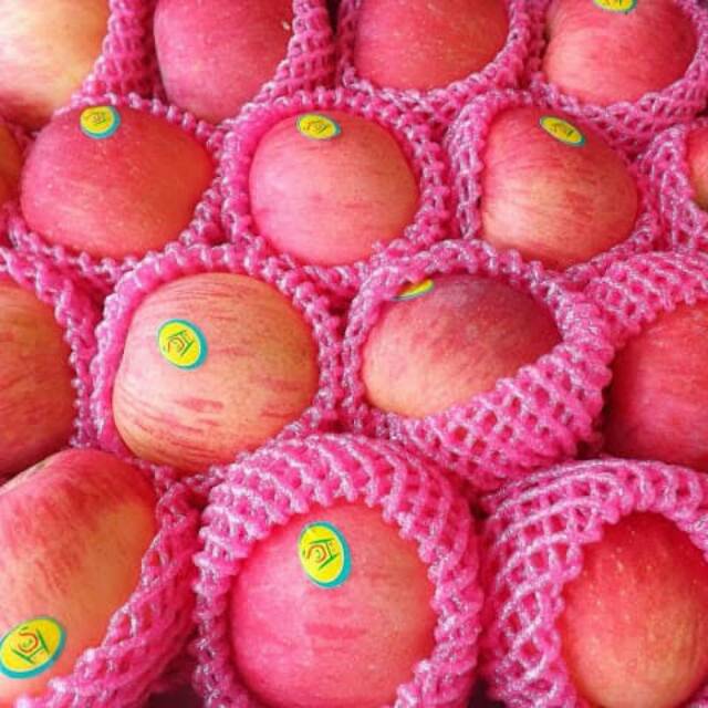 

Apel fuji, harga perkilo