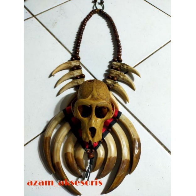 kalung taring babi