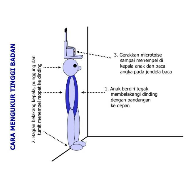 Alat Ukur Tinggi Badan GEA 2 meter / Stature Meter GEA High Meter 2M