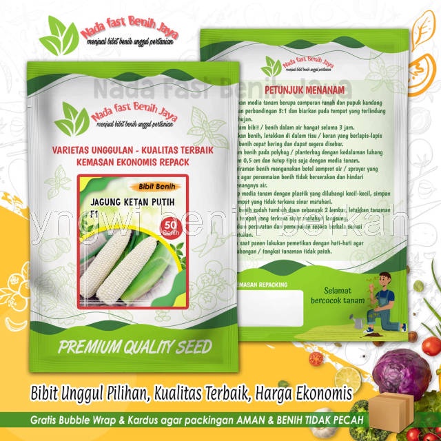 50 biji Benih jagung ketan putih F1 super  / bibit jagung putih import