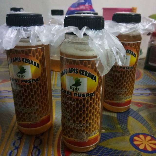 

madu cerana ori