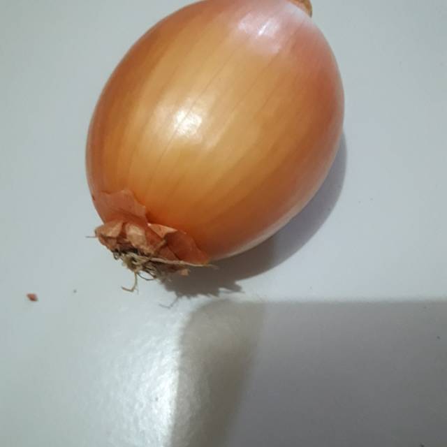

Bawang bombay / 1butir