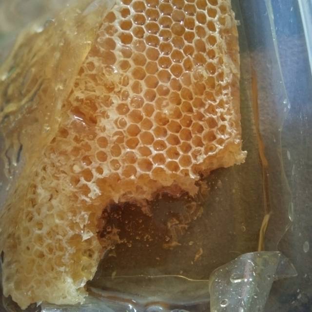 

Madu Sarang Asli