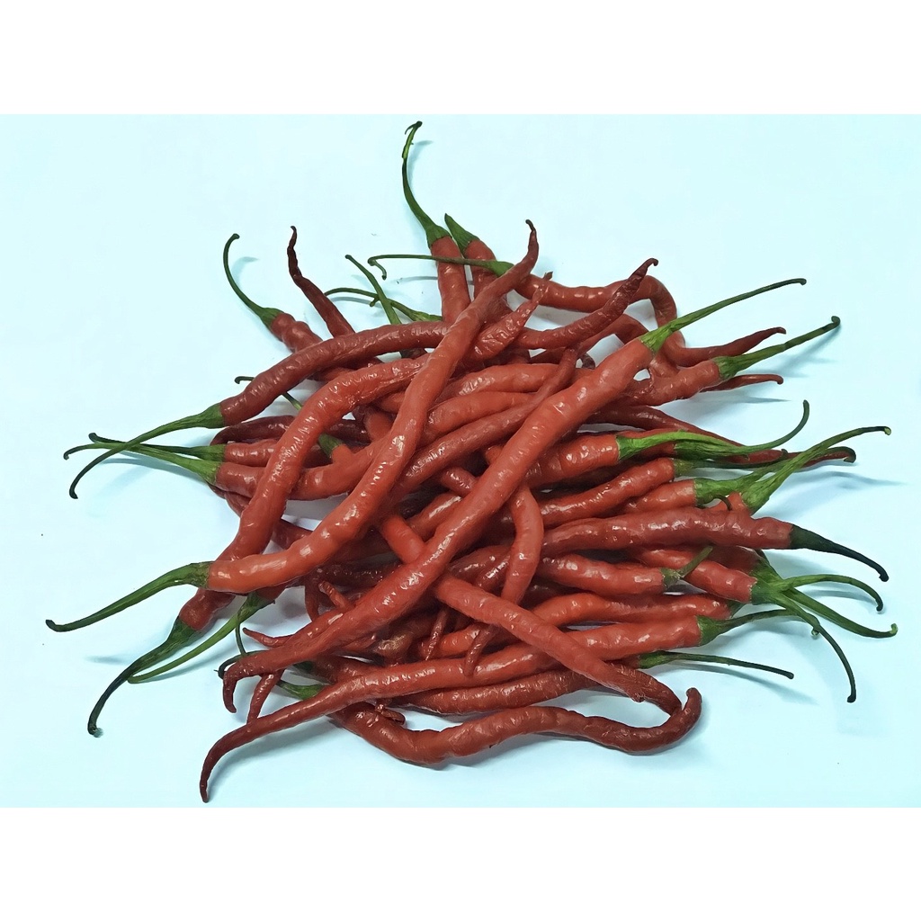 

My Fruit Vege Surabaya - Cabe Keriting [200gr]