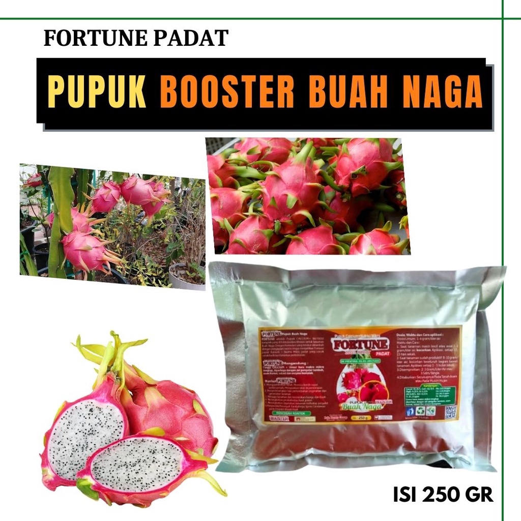 Pupuk Buah Naga Fase Generatif, BOOSTER BUAH NAGA, Booster Buah Naga Dimusim Hujan