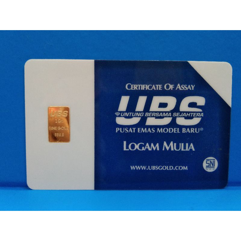 LM 1gram UBS