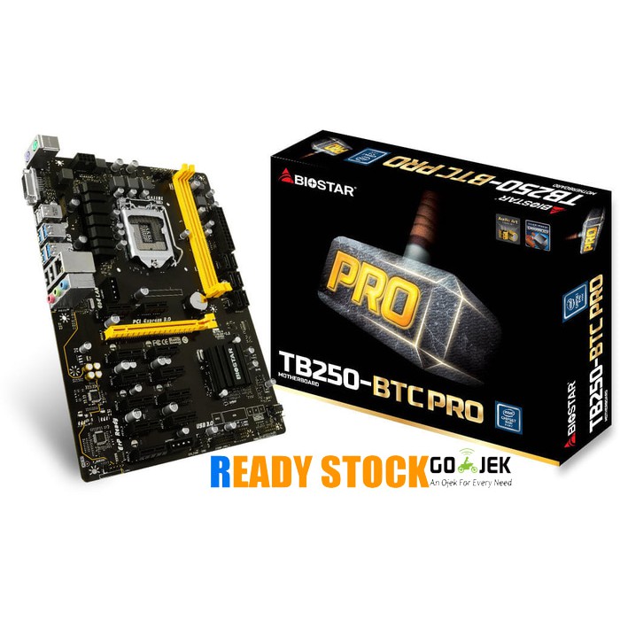 Biostar TB250-BTC PRO 12 Socket