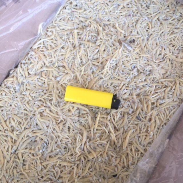 

Teri nasi asin / teri medan