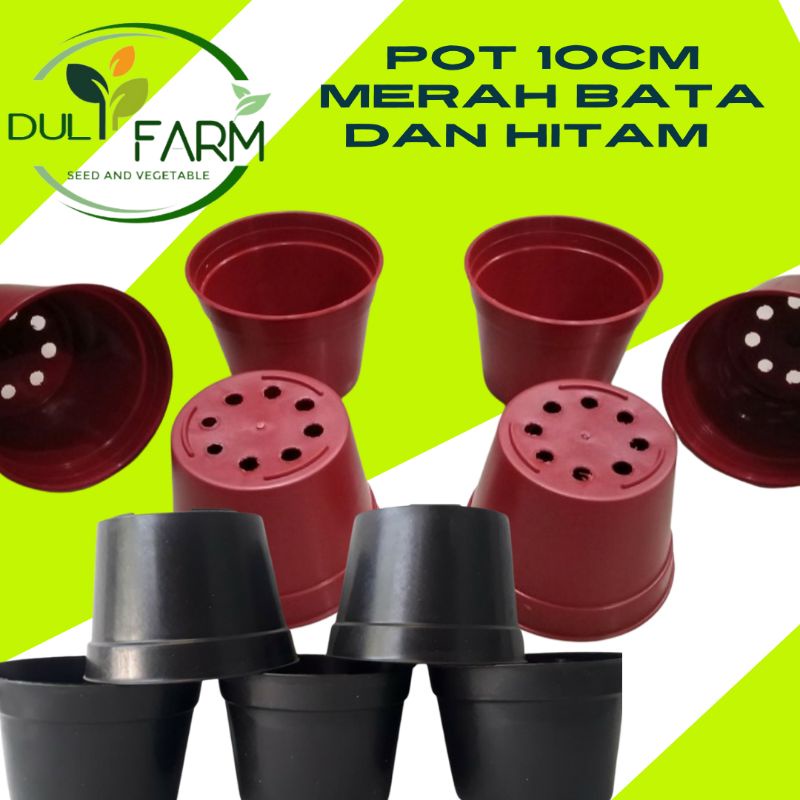 Pot Tanaman 10 cm Hitam Putih Merah Bata Lubang Pot Bunga Murah Tanaman Hias