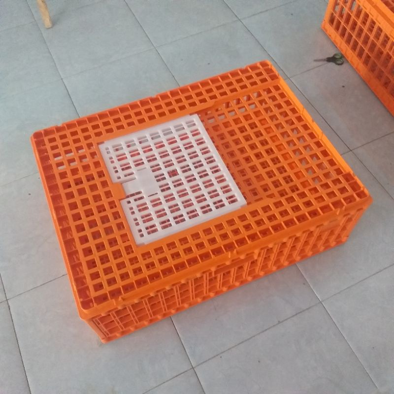 keranjang panen ayam kecil merk medion